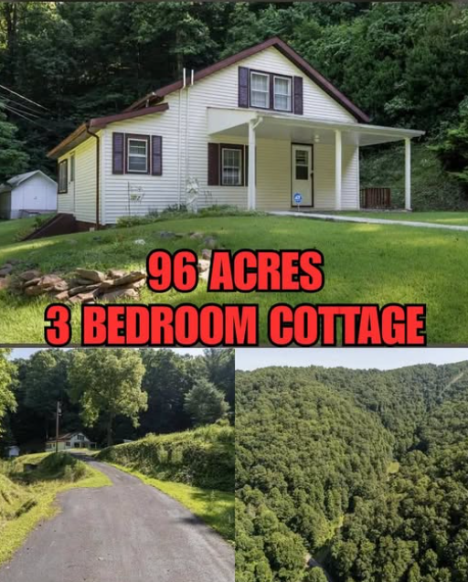 Secluded 3-Bedroom Virginia Cottage on 96 Acres With a Barn and Private Woodland