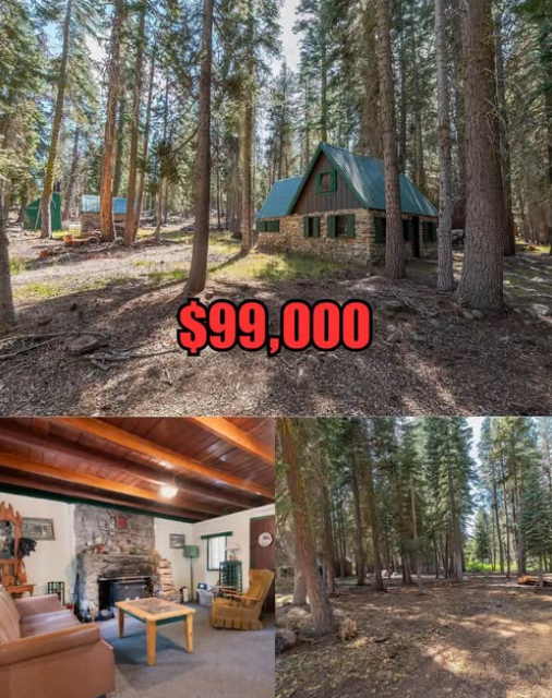 Historic 1-Bedroom Stone Cabin With Rustic Charm in Arnold, California
