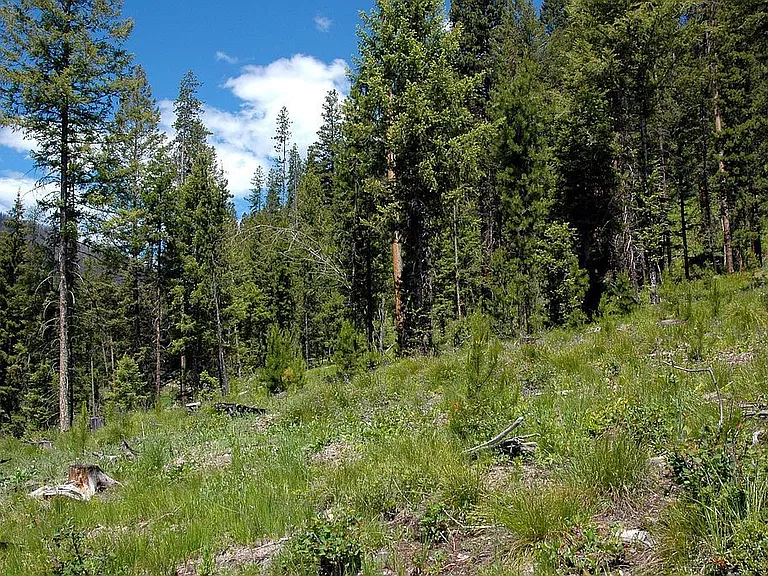 Idaho Mountain Land With 4.38 Acres, River Views and Endless Outdoor Adventure