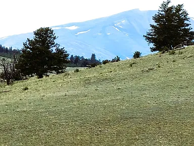 Colorado Mountain Cabin for $89,000 — Peaceful Getaway in Hartsel