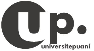 universitepuani.com